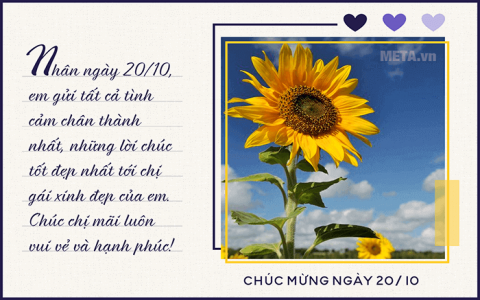 Những hình ảnh hoa đẹp mừng ngày 20/10 thay lời chúc